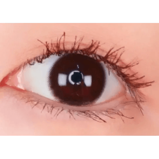 LensTown Chocopong Dark Choco — single-eye close-up showing the contact lens appearance