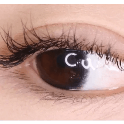 LensTown Circlean Mini Black — single-eye close-up showing the contact lens appearance
