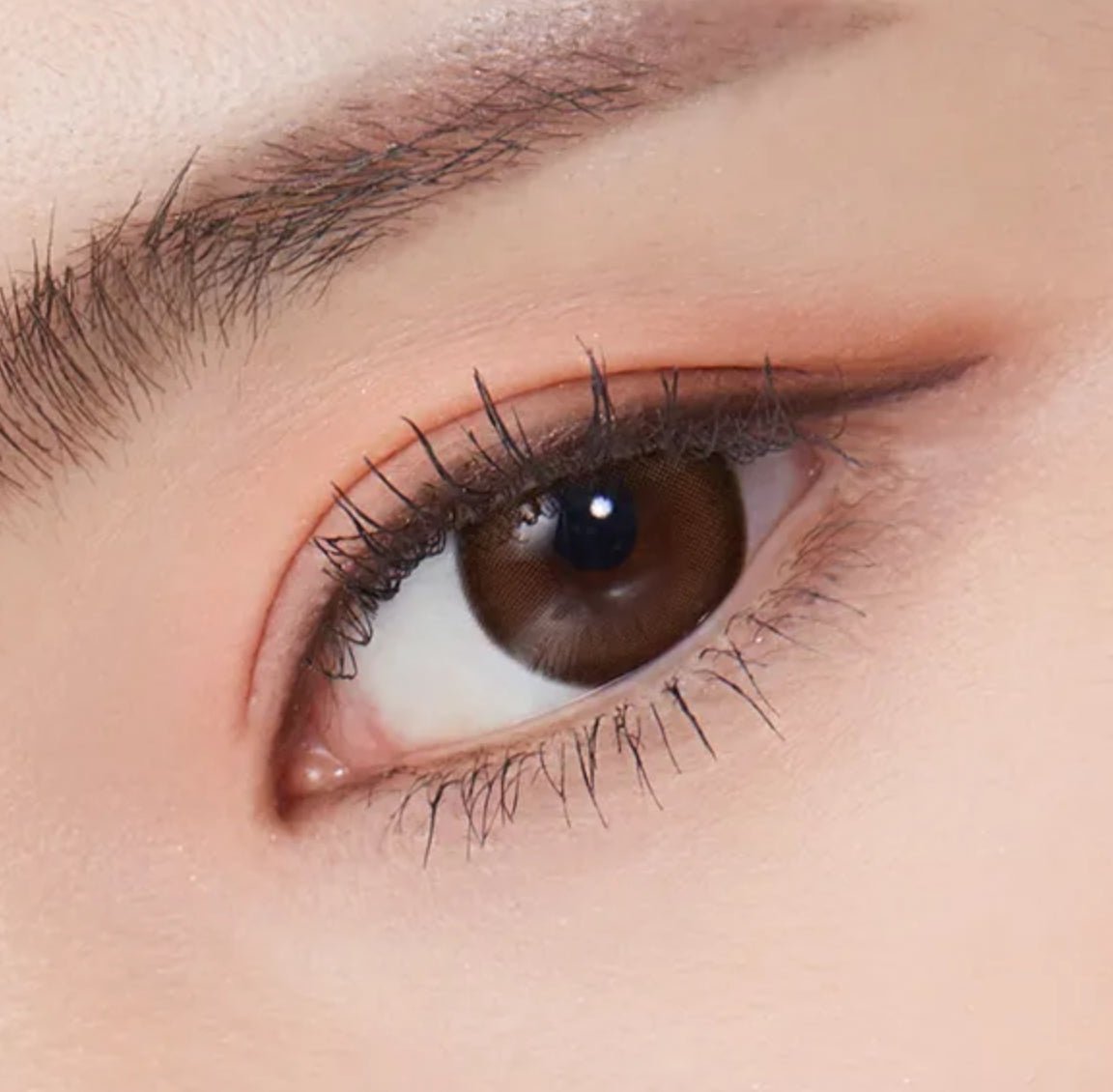 Olens Classi Artring Brown colored contact lens, 13.0mm graphic diameter, 3-6 Months wear