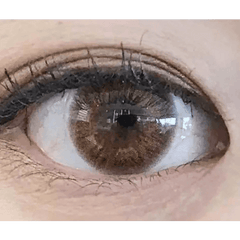 Classi Mistique Brown