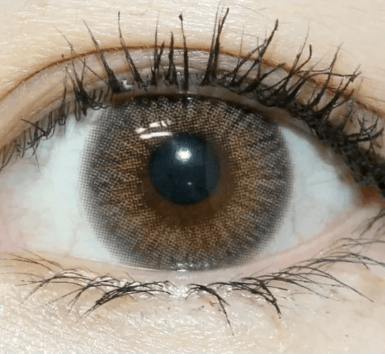 Olens Classi Mistique Gray — single-eye close-up showing the contact lens appearance