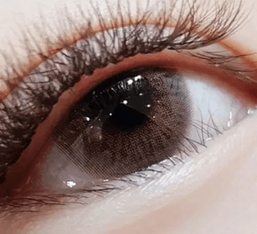Olens Classi Mistique Gray — single-eye close-up showing the contact lens appearance