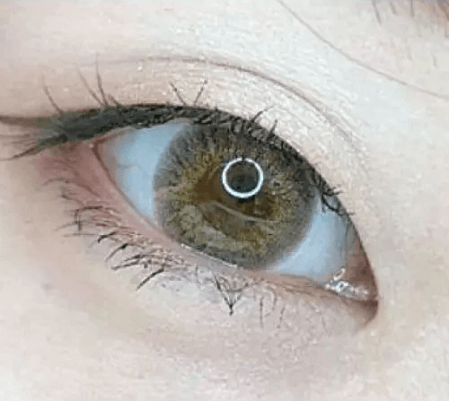 Olens Classi Mistique Gray — single-eye close-up showing the contact lens appearance