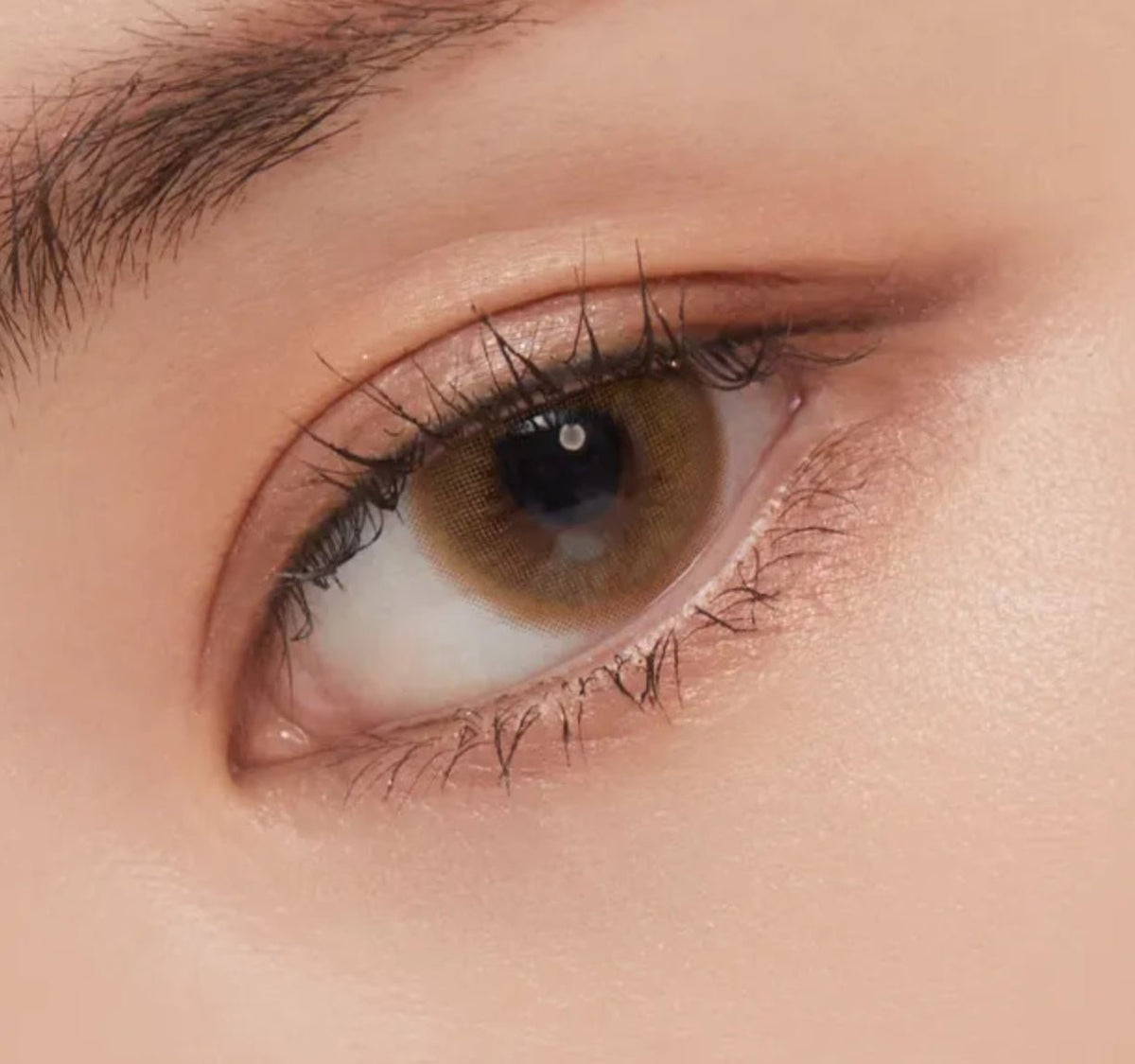 Olens Classi Water Brown colored contact lens, 13.4mm graphic diameter, 3-6 Months wear