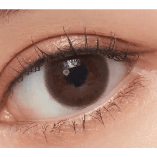 Olens Classi Water Choco — single-eye close-up showing the contact lens appearance