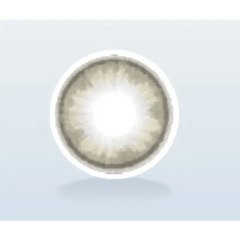 Coco View Tiny Gray 12.9mm