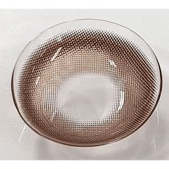 Coconut 3color Tender Cocoa 13.2mm