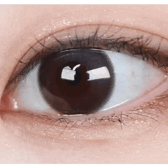 Coconut 3color Wild Burgundy 13.2mm