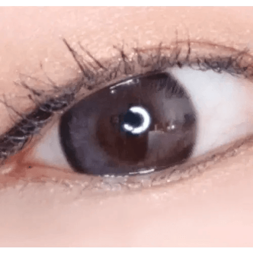LensTown Coconut 3color Wild Burgundy — single-eye close-up showing the contact lens appearance