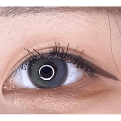 Coconut 3color Wild Olive Green