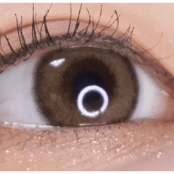 LensRang Comely Brown — single-eye close-up showing the contact lens appearance