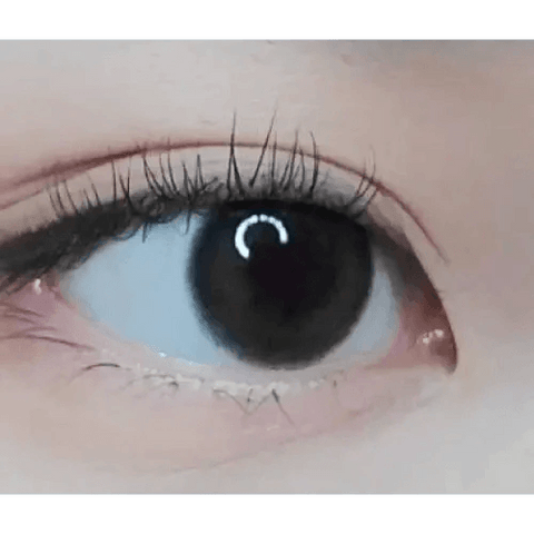 Comely Gray 13.4mm Comely Gray 13.4mm