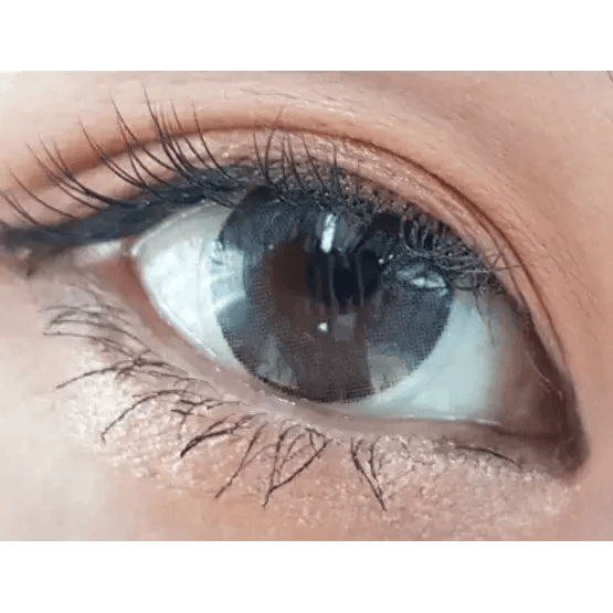 LensTown Comfit Gray — single-eye close-up showing the contact lens appearance
