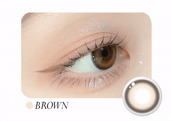 LensRang Cuddling Ring Brown Toric — contact lens product information graphic