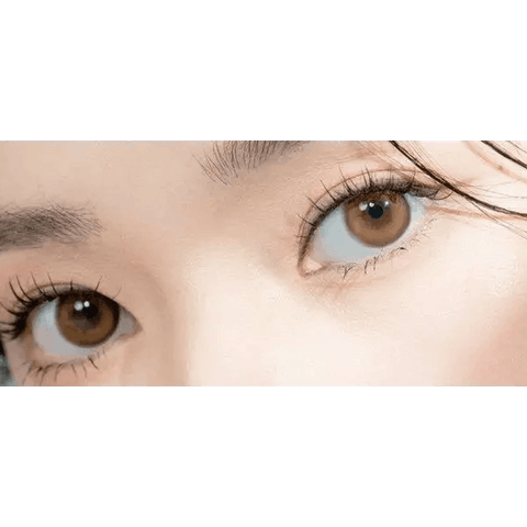 Cuddling Brown Toric 13.2mm Cuddling Brown Toric 13.2mm