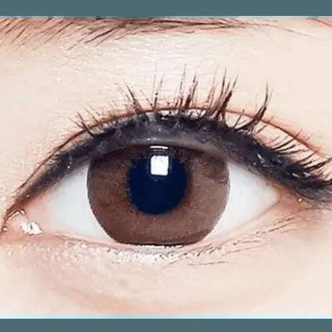 Dali Extra Brown Toric 13.6mm Dali Extra Brown Toric 13.6mm