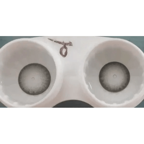 Olens Dali Extra Gray — contact lenses displayed in storage cases