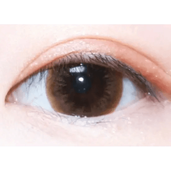 LensTown Davivi2 Brown — single-eye close-up showing the contact lens appearance