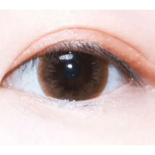 LensTown Davivi2 Brown — single-eye close-up showing the contact lens appearance
