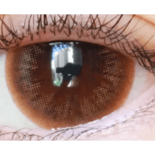 LensTown Davivi2 Brown — single-eye close-up showing the contact lens appearance