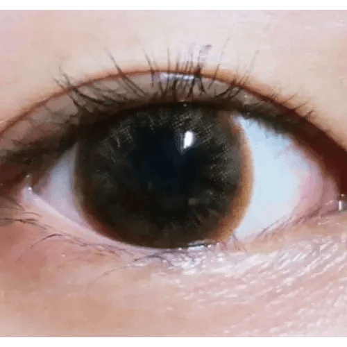 LensTown Davivi2 Brown — single-eye close-up showing the contact lens appearance