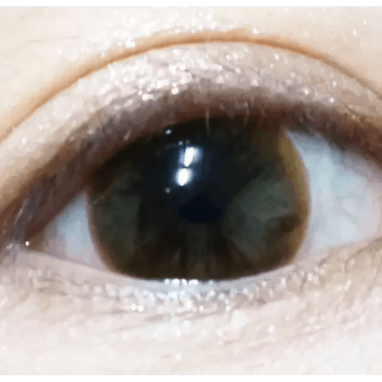 LensTown Davivi2 Brown — single-eye close-up showing the contact lens appearance