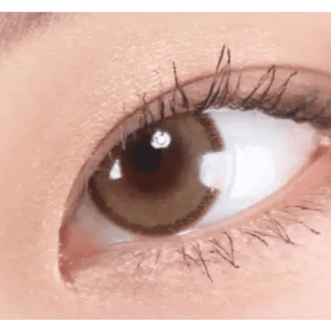 DayLook 1Day Brown (5p) DayLook 1Day Brown (5p)