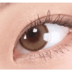 DayLook 1Day Brown (5p)