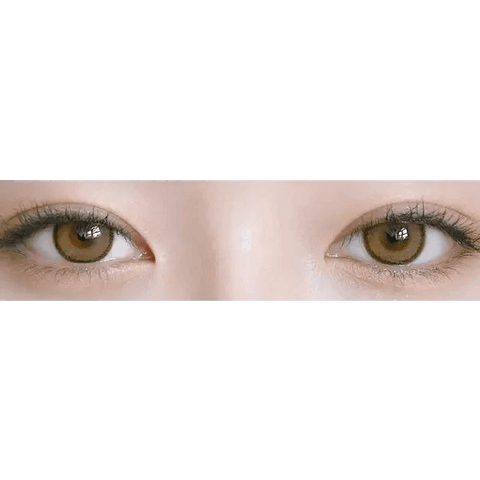 DayLook 1Day Brown (5p) DayLook 1Day Brown (5p)