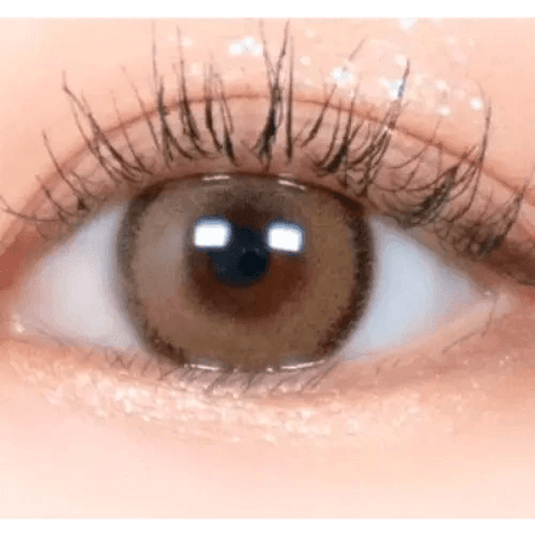 DayLook 1Day Brown (5p) DayLook 1Day Brown (5p)