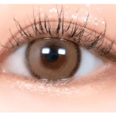 DayLook 1Day Brown (5p)