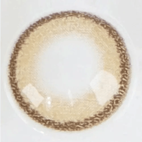 LensRang DayLook 1Day Brown (5p) colored contact lens, 13.4mm graphic diameter, Daily wear