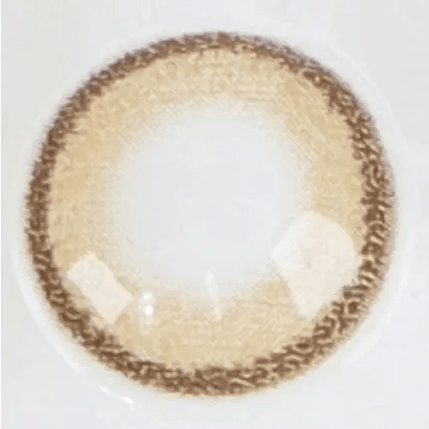 DayLook 1Day Brown (5p) DayLook 1Day Brown (5p)