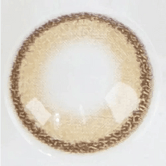 DayLook 1Day Brown (5p)