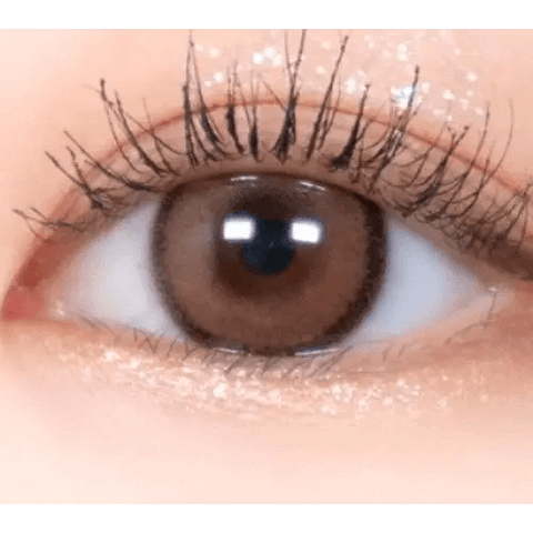 DayLook 1Day Choco (5p) DayLook 1Day Choco (5p)