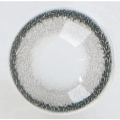 DayLook 1Day Gray (5p)