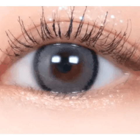 DayLook 1Day Gray (5p) DayLook 1Day Gray (5p)