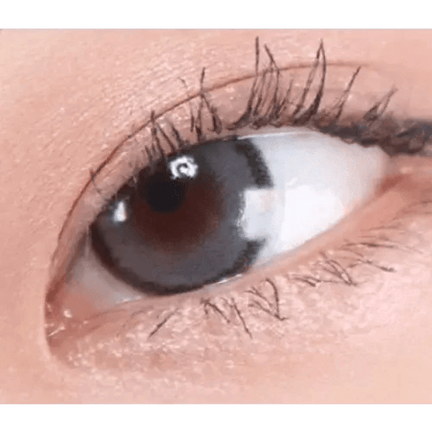 DayLook 1Day Gray (5p) DayLook 1Day Gray (5p)