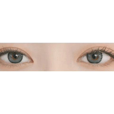 DayLook 1Day Gray (5p) DayLook 1Day Gray (5p)