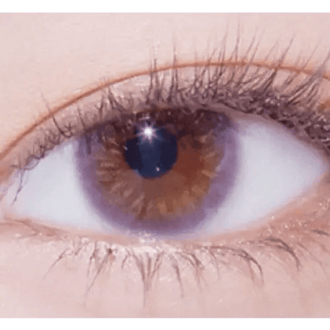 Deep Shine Violet 13.2mm Deep Shine Violet 13.2mm