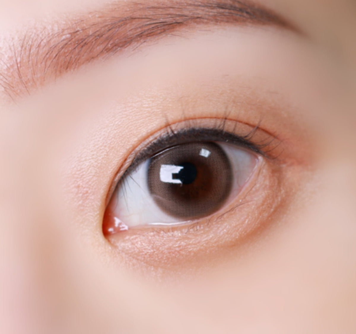 Olens Dewring Ash Choco colored contact lens, 13.0mm graphic diameter, 3-6 Months wear