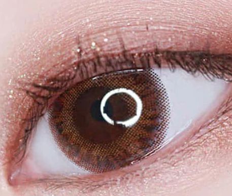 Diana Brown Toric 13.6mm Diana Brown Toric 13.6mm