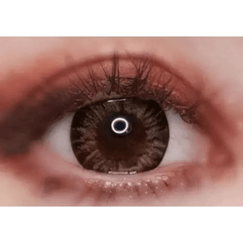 Diba Brown 13mm Diba Brown 13mm