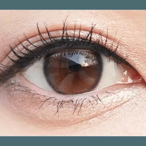 Double Tint 1Day Brown (20p) Double Tint 1Day Brown (20p)