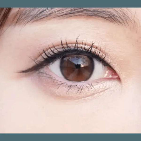 Double Tint 1Day Brown (20p) Double Tint 1Day Brown (20p)