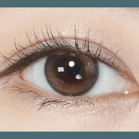 Double Tint 1Day Brown (20p) Double Tint 1Day Brown (20p)