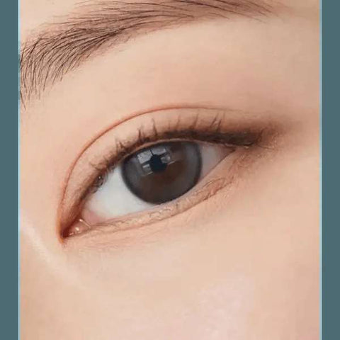 Double Tint 1Day Gray (20p) Double Tint 1Day Gray (20p)