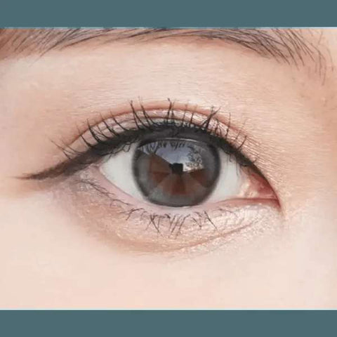 Double Tint 1Day Gray (20p) Double Tint 1Day Gray (20p)