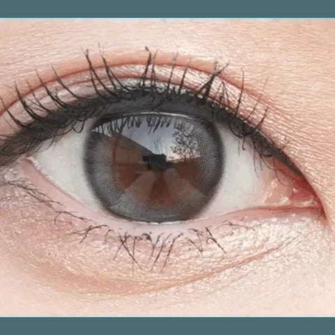 Double Tint 1Day Gray (20p) Double Tint 1Day Gray (20p)