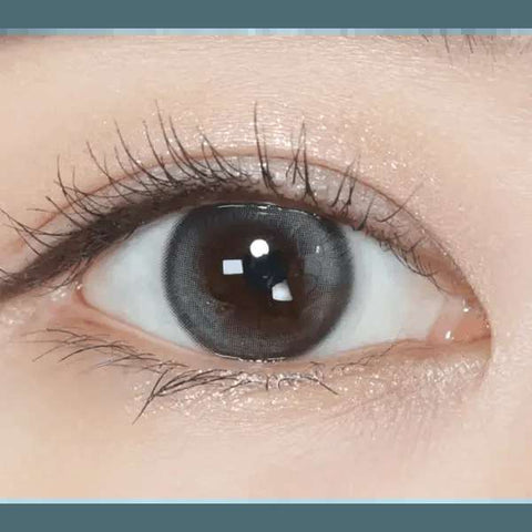 Double Tint 1Day Gray (20p) Double Tint 1Day Gray (20p)